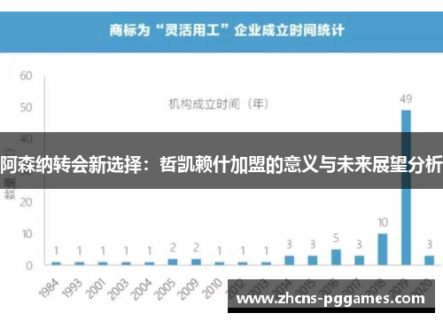 阿森纳转会新选择：哲凯赖什加盟的意义与未来展望分析